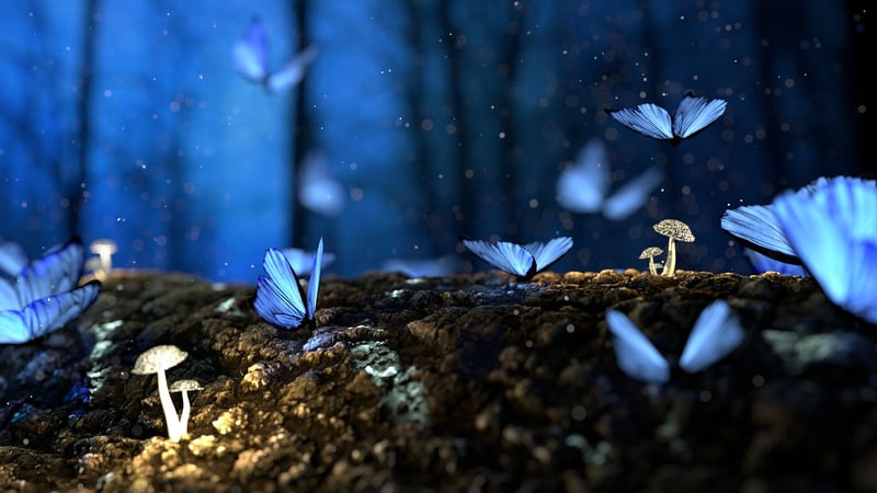 Forest Fairytale