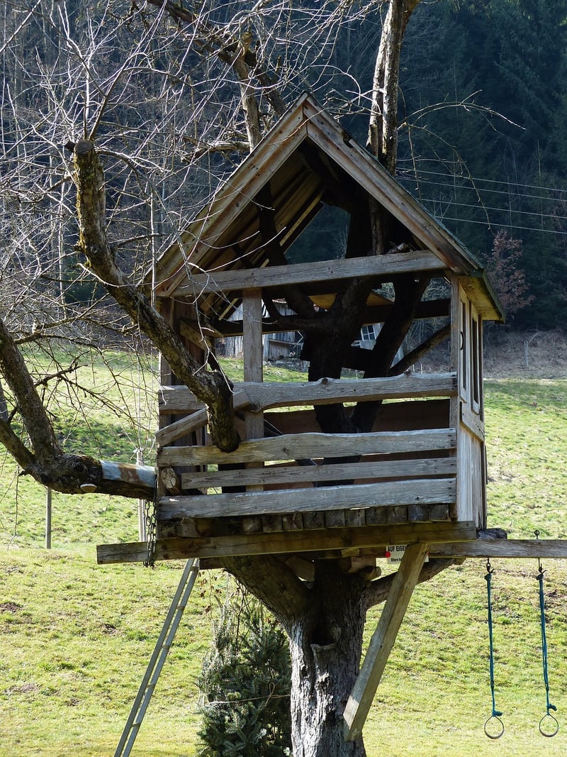 Treehouse Retreat